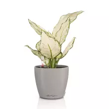 Doniczka Lechuza CLASSICO Color 12 piaskowy brąz